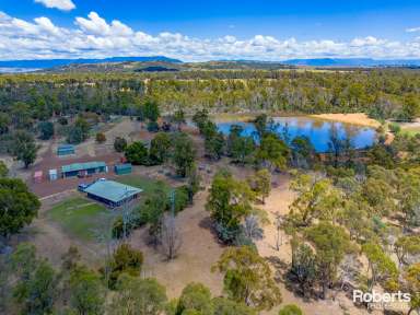 Farm For Sale - TAS - Cleveland - 7211 - Blue chip rural living at it's best! 36 Ha's, lovely homestead, huge dam, 6 pasture paddocks, 4 large sheds, all 30 minutes South of Launceston.  (Image 2)