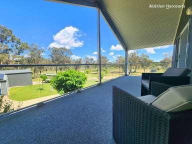 Farm For Sale - NSW - Glen Innes - 2370 - Quiet Oasis  (Image 2)