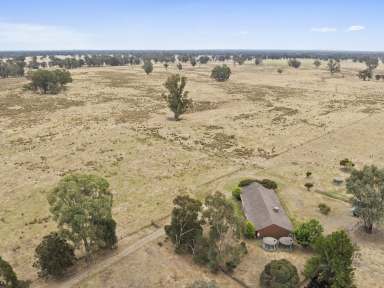 Farm For Sale - VIC - Violet Town - 3669 - "Roseleigh"  (Image 2)