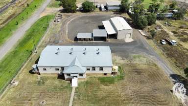 Farm For Sale - NSW - Narrabri - 2390 - MIXED USE DEVELOPMENT - UNPARALLELED VERSATILITY  (Image 2)