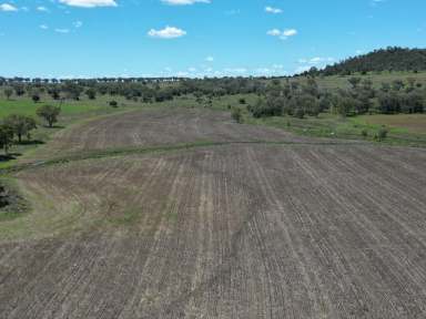 Farm For Sale - QLD - Kaimkillenbun - 4406 - MIXED FARMING AT THE FOOT OF THE BUNYA MOUNTAINS.  (Image 2)