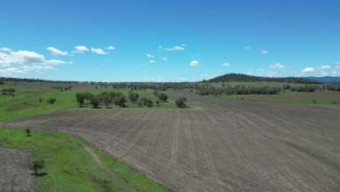 Farm For Sale - QLD - Kaimkillenbun - 4406 - MIXED FARMING AT THE FOOT OF THE BUNYA MOUNTAINS.  (Image 2)