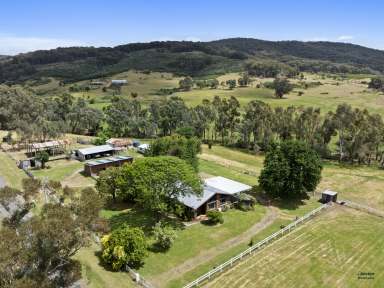 Farm For Sale - VIC - Warrenbayne - 3670 - "Warrenbayne Park " 14 Acre Lifestyle Property  (Image 2)