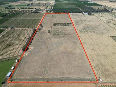 Farm For Sale - VIC - Cobram - 3644 - Cobram – 49 Acres – Prime Land  (Image 2)