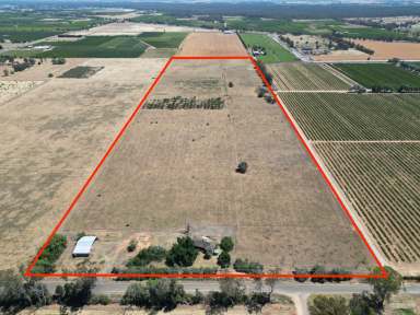 Farm For Sale - VIC - Cobram - 3644 - Cobram – 49 Acres – Prime Land  (Image 2)