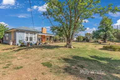 Farm For Sale - VIC - Rochester - 3561 - An Opportunity to Experience Country Living and Add Your Personal Touch  (Image 2)