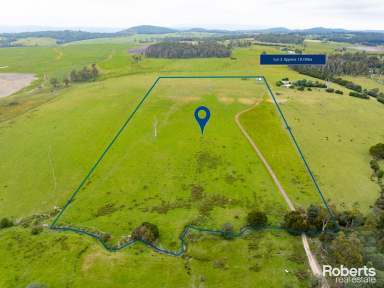 Farm For Sale - TAS - Beaconsfield - 7270 - 90 Acres on 3 Titles  (Image 2)