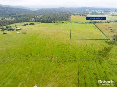 Farm For Sale - TAS - Beaconsfield - 7270 - 90 Acres on 3 Titles  (Image 2)