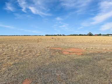 Farm For Sale - NSW - Leeton - 2705 - AMAZING BLOCK  (Image 2)