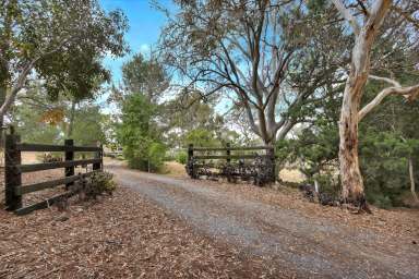 Farm For Sale - SA - Mount Pleasant - 5235 - Stunning country property on 16.16 Ha. Large home, excellent sheds, picturesque country views. Peace, nature and privacy.  (Image 2)