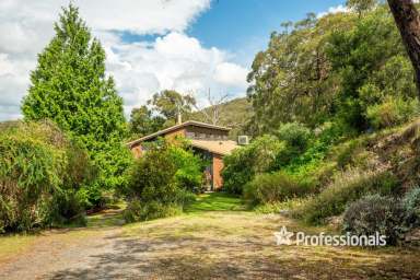 Farm For Sale - VIC - Yarra Junction - 3797 - OFF-GRID LIVING IMMERSED IN NATURE  (Image 2)