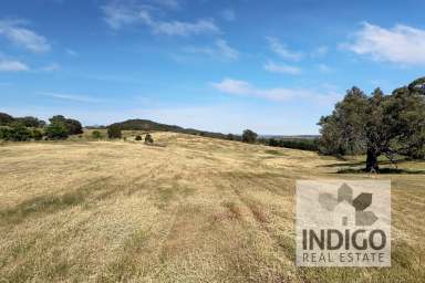 Farm For Sale - VIC - Beechworth - 3747 - Dreamy Views & Location  (Image 2)