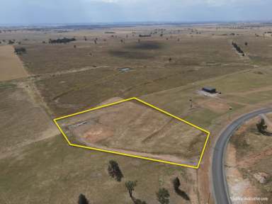 Farm For Sale - NSW - Forbes - 2871 - Raywhite Forbes - 02 6851 1411  (Image 2)