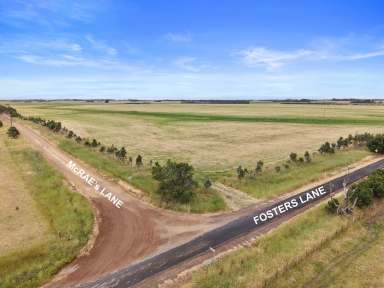 Farm For Sale - VIC - Mortlake - 3272 - Slightly undulating 101 hectares of lifestyle property, ideal for grazing and cropping or building your dream home  (Image 2)