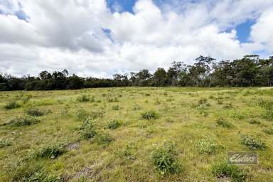 Farm For Sale - QLD - Bauple - 4650 - PERFECT PROPERTY TO ENJOY COUNTRY LIFE  (Image 2)