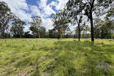 Farm For Sale - QLD - Bauple - 4650 - PERFECT PROPERTY TO ENJOY COUNTRY LIFE  (Image 2)