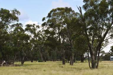 Farm For Sale - NSW - Trundle - 2875 - "Arrawarra"  (Image 2)