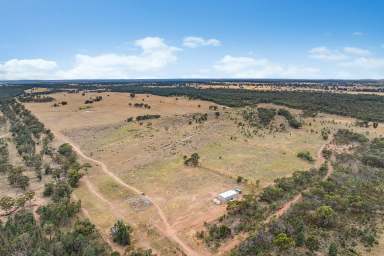 Farm For Sale - NSW - Trundle - 2875 - "Arrawarra"  (Image 2)