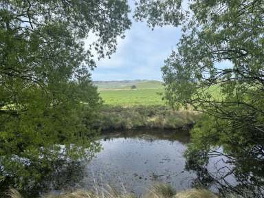 Farm Auction - TAS - York Plains - 7120 - Intergenerational Midlands Property  (Image 2)