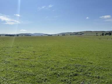 Farm Auction - TAS - York Plains - 7120 - Intergenerational Midlands Property  (Image 2)