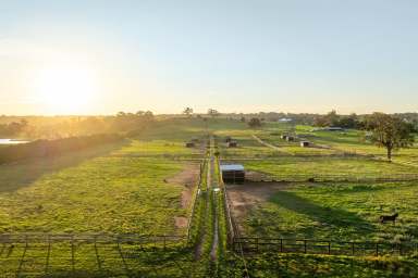 Farm Sold - NSW - The Oaks - 2570 - 'Vanderville'  (Image 2)