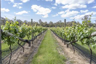 Farm For Sale - TAS - Beaconsfield - 7270 - Boutique Vineyard Opportunity in Tasmania's West Tamar  (Image 2)