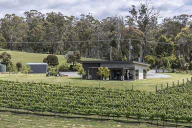 Farm For Sale - TAS - Beaconsfield - 7270 - Boutique Vineyard Opportunity in Tasmania's West Tamar  (Image 2)