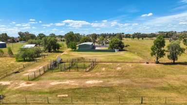 Farm For Sale - NSW - Tamworth - 2340 - AFFORDABLE ACREAGE ON THE OUTSKIRTS OF TAMWORTH  (Image 2)