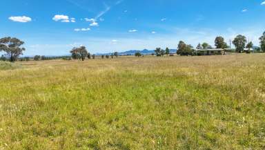 Farm For Sale - NSW - Tamworth - 2340 - AFFORDABLE ACREAGE ON THE OUTSKIRTS OF TAMWORTH  (Image 2)