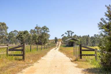 Farm For Sale - VIC - Newry - 3859 - Fantastic lifestyle block  (Image 2)