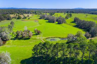 Farm For Sale - NSW - Collombatti - 2440 - Huge Potential-Prime Acreage with Cosy Weekender-30-minutes to Coast  (Image 2)