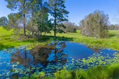 Farm Auction - NSW - Collombatti - 2440 - Huge Potential-Prime Acreage with Cosy Weekender-30-minutes to Coast  (Image 2)