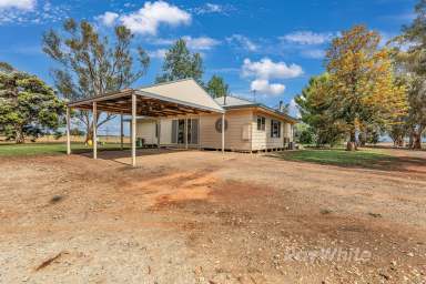 Farm For Sale - VIC - Lockington - 3563 - Modern Comfort Meets Rural Serenity on 12.5 Acres  (Image 2)