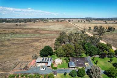 Farm For Sale - NSW - Condobolin - 2877 - 'Little Acres'  (Image 2)