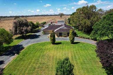 Farm For Sale - NSW - Condobolin - 2877 - 'Little Acres'  (Image 2)