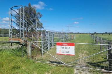 Farm For Sale - WA - Nambeelup - 6207 - Affordable Grazing in the Shire of Murray 89.3Ha* (220 Acres*)  (Image 2)