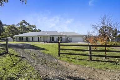 Farm For Sale - VIC - Mardan - 3953 - Rural Living At It's Best!  (Image 2)