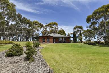 Farm For Sale - SA - Naracoorte - 5271 - Your Own Parcel of Secluded Paradise - 4.74 Acres  (Image 2)