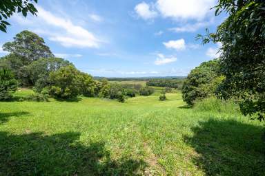 Farm For Sale - NSW - Myocum - 2481 - MAGNIFICENT MYOCUM  (Image 2)