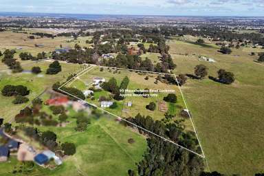 Farm Sold - VIC - Lucknow - 3875 - Big home, Big views, Big shedding.  (Image 2)