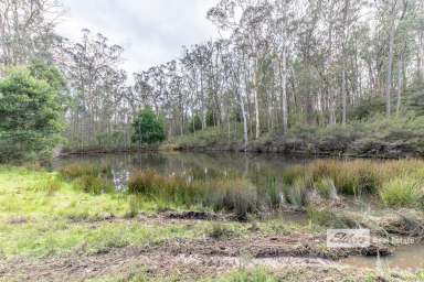 Farm For Sale - VIC - Bruthen - 3885 - Bush block with a rustic log cabin.  (Image 2)