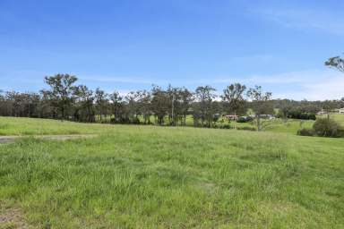 Farm For Sale - NSW - Dondingalong - 2440 - Exclusive Land Offering  (Image 2)