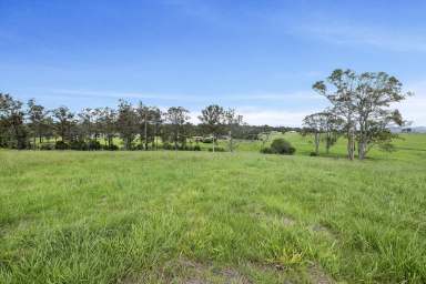 Farm Sold - NSW - Dondingalong - 2440 - Exclusive Land Offering  (Image 2)