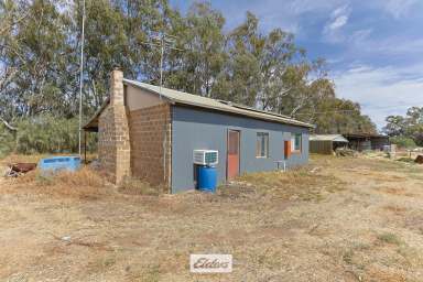 Farm For Sale - VIC - Red Cliffs - 3496 - LIFESTYLE HOLDING WITH IRRIGATION POTENTIAL AND CREEK ACCESS AND VIEWS.  (Image 2)