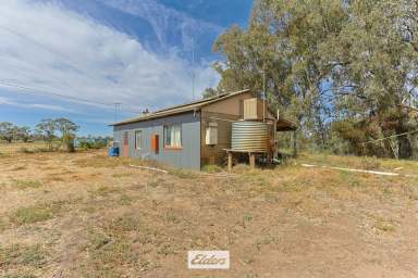 Farm For Sale - VIC - Red Cliffs - 3496 - LIFESTYLE HOLDING WITH IRRIGATION POTENTIAL AND CREEK ACCESS AND VIEWS.  (Image 2)