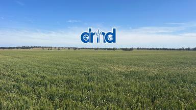 Diapur-Yanac Road, Nhill VIC 3418