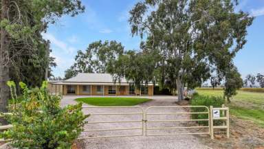 Farm For Sale - NSW - Yenda - 2681 - A Slice of The Good Life  (Image 2)