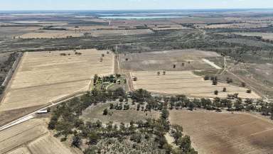 Farm For Sale - VIC - Capels Crossing - 3579 - Grazing & Irrigation Property with Loddon River Frontage  (Image 2)