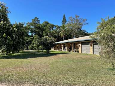 Farm For Sale - QLD - Pinnacle - 4741 - Blue Ribbon Cane Farm  (Image 2)