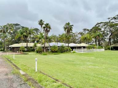 Farm For Sale - NSW - Somersby - 2250 - Unmatched blend of natural beauty, growth and opportunities  (Image 2)